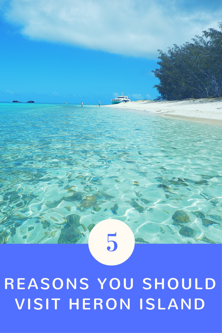 5 Reasons you should visit Heron Island Free Two Roam