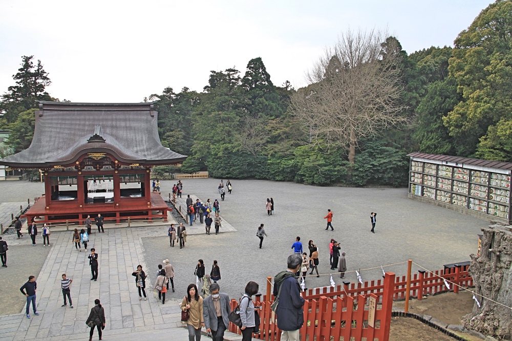 View from Tsurugaoka Hachimangu Free Two Roam