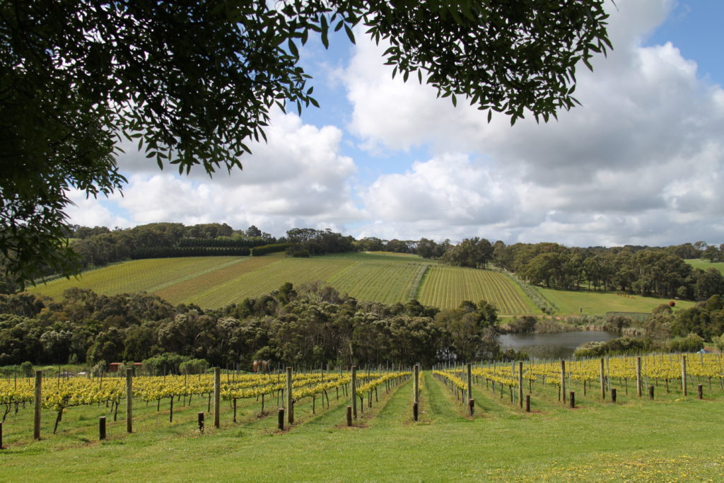 The Best Wineries on the Mornington Peninsula for wining and dining