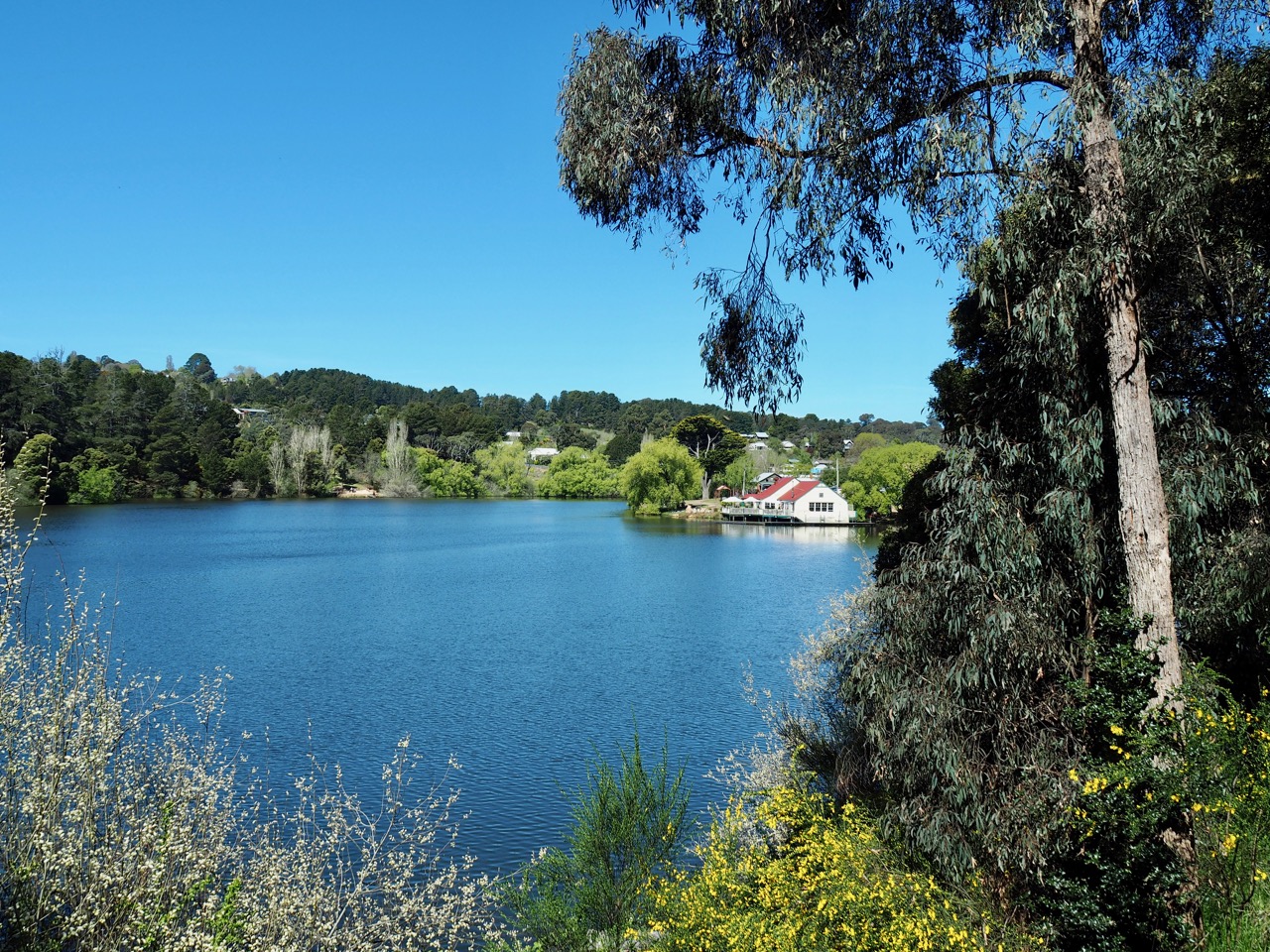 Lake Daylesford in spring. Free Two Roam