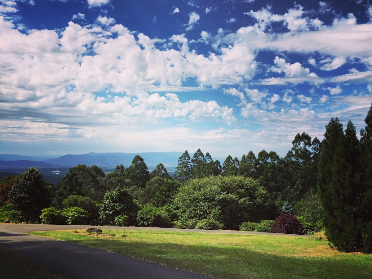 A Guide to Visiting the Dandenong Ranges Free Two Roam