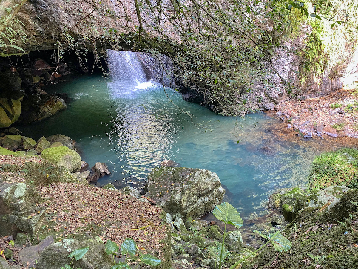 Springbrook National Park The Top 10 Things to Do Free Two Roam