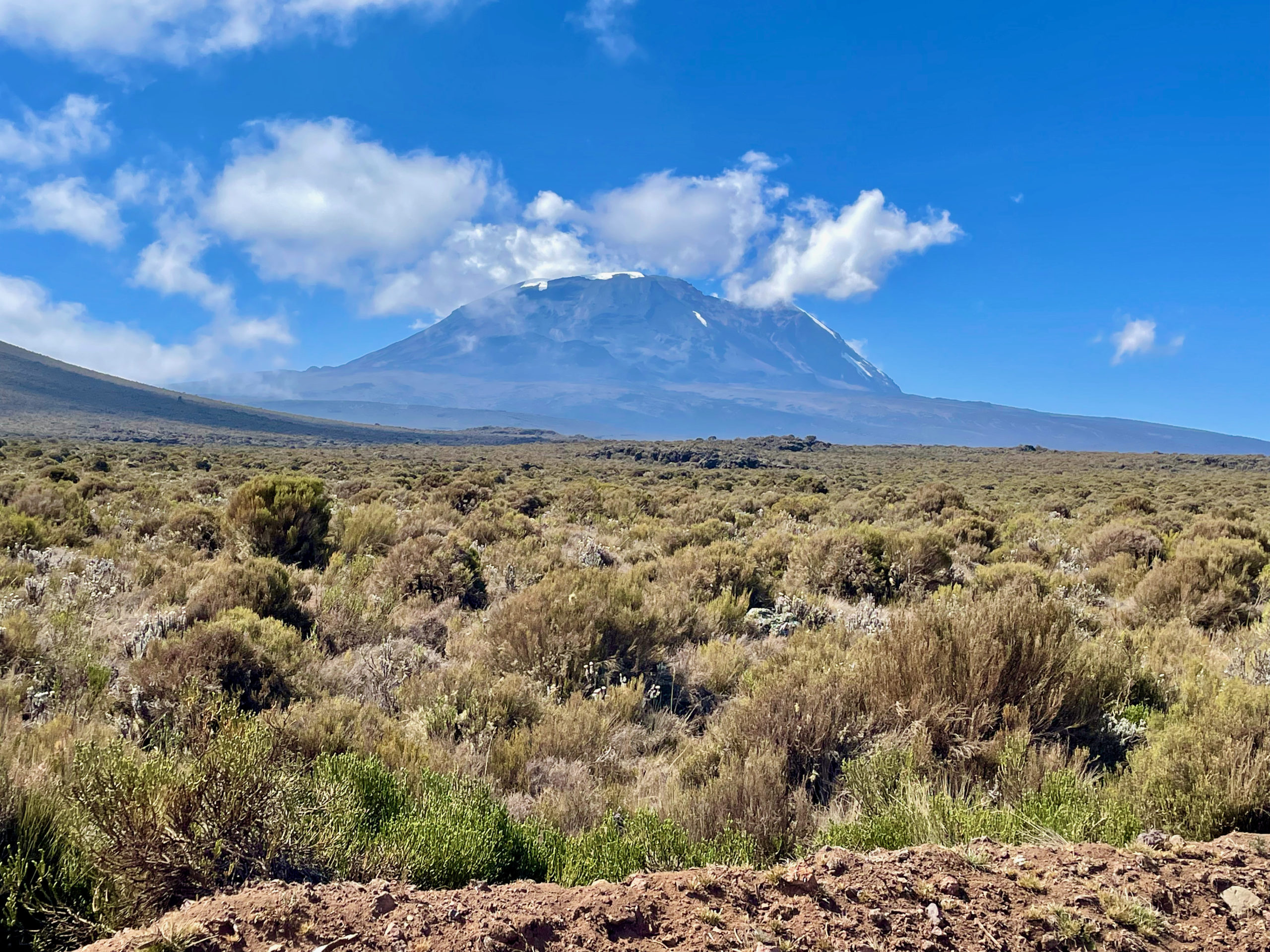 Mount Kilimanjaro rising above the Shira Plateau
